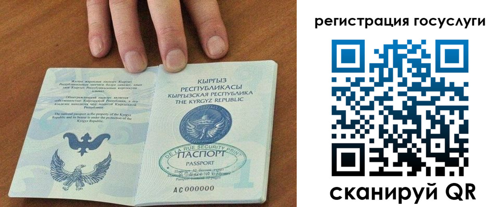 прописка ребенка в Белой Холунице